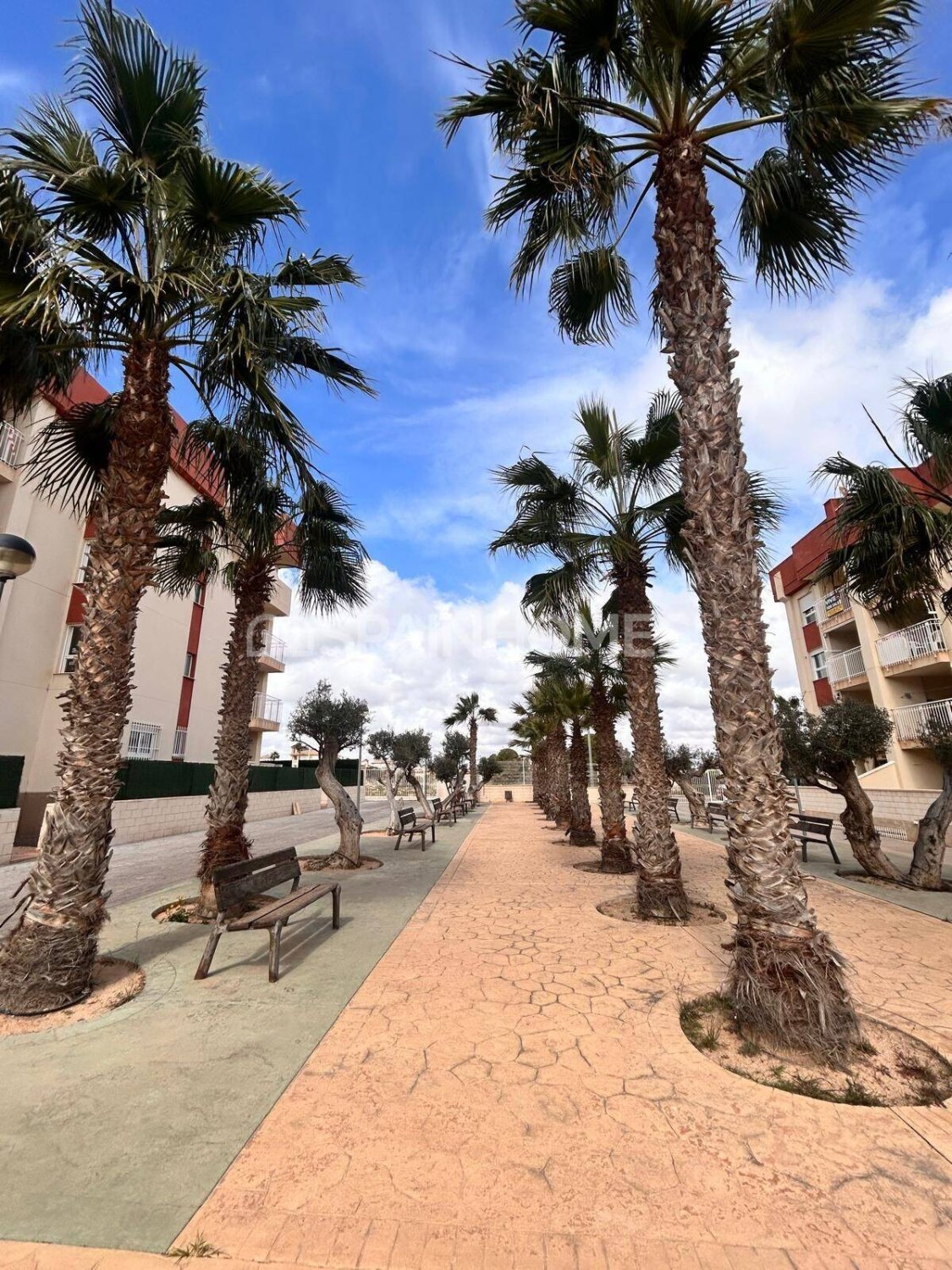 Wohnung in Orihuela, Alicante, Spanien 2 Schlafzimmer, 69 m2 Nr. 120663