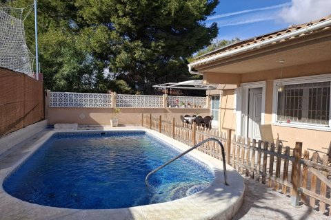 Apartament Torrevieja, Alicante, Hiszpania 3 sypialnie, 251 mkw. nr 130589 – zdjęcie 15