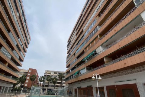 Dzīvoklis pārdošanā Torrevieja, Alicante, Spānijā 3 istabas, 88 m2 Nr. 130591 - attēls 23