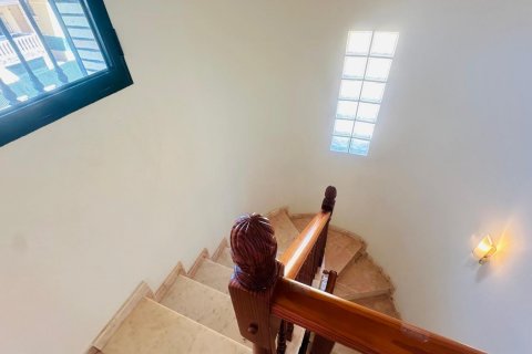 Huvila myytävänä Villamartin, Alicante, Espanja, 3 makuuhuonetta, 239 m2 No. 131918 - kuva 28