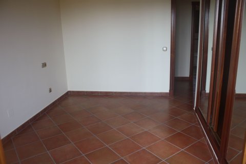 Dzīvoklis pārdošanā Torrevieja, Alicante, Spānijā 2 istabas, 225 m2 Nr. 123640 - attēls 19