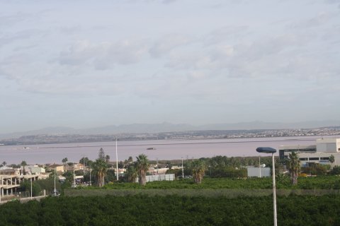 Dzīvoklis pārdošanā Torrevieja, Alicante, Spānijā 2 istabas, 225 m2 Nr. 123640 - attēls 27