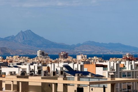 Penthouse San Juan, Alicante, Hiszpania 3 sypialnie, 252 mkw. nr 127290 – zdjęcie 15