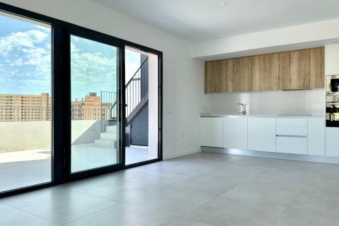 Penthouse San Juan, Alicante, Hiszpania 3 sypialnie, 252 mkw. nr 127290 – zdjęcie 21