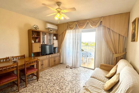 Apartment for sale Punta Prima, Alicante, Spain 3 bedrooms, 92 sq.m. No. 131681 - photo 14