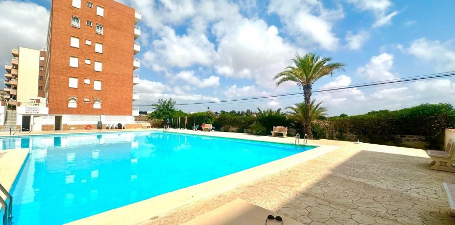 Apartment Punta Prima, Alicante, Spain 3 bedrooms, 92 sq.m. No. 131681