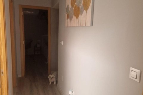 Townhouse zum Verkauf Los Balcones, Alicante, Spanien 3 Schlafzimmer, 80 m2 Nr. 131679 - Foto 20