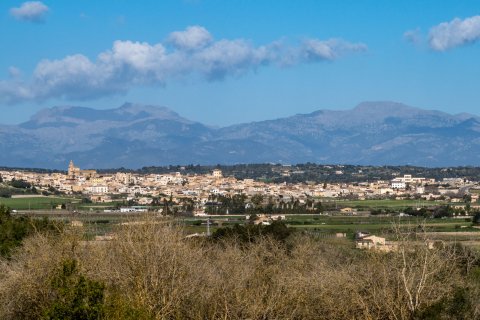 Finca for sale in Montuiri, Mallorca, Spain 4 bedrooms, 343 sq.m. No. 60193 - photo 25