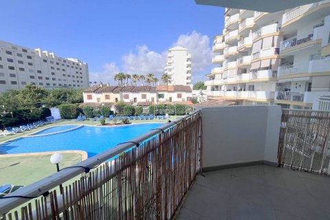 Apartment à vendre Sa Coma, Mallorca, Espagne, 1 chambre, 42 m2 No. 129589 - photo 2