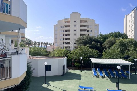 Apartment à vendre Sa Coma, Mallorca, Espagne, 1 chambre, 42 m2 No. 129589 - photo 10
