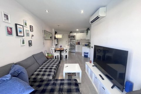 Apartment à vendre Sa Coma, Mallorca, Espagne, 1 chambre, 42 m2 No. 129589 - photo 3