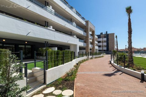 Продажа квартиры Плайя Фламенка II, Аликанте, Испания 3 спальни, 98м2 №122325 - фото 12