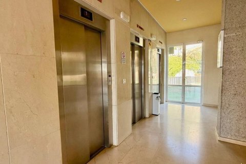 Dzīvoklis pārdošanā Benidorm, Alicante, Spānijā 3 istabas, 130 m2 Nr. 130661 - attēls 17