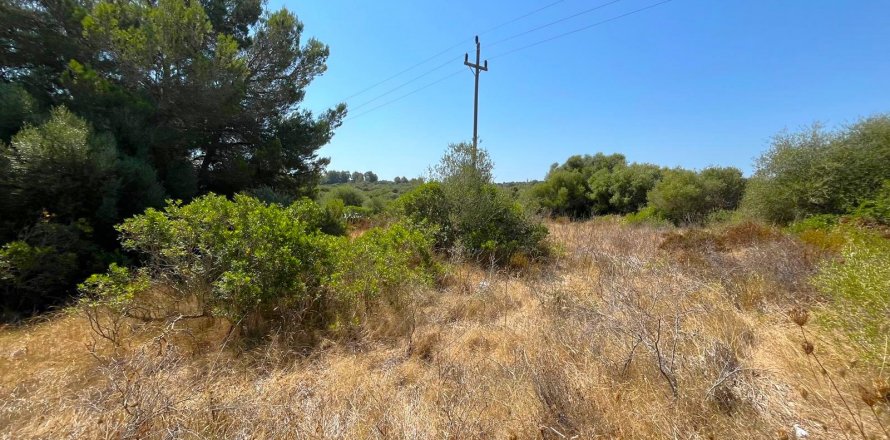 Tontti Manacor, Mallorca, Espanja 800 m2 No. 128869