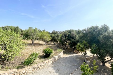Finca for rent Porreres, Mallorca, Spain 6 bedrooms, 834 sq.m. No. 128213 - photo 22