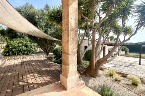 Finca for rent Porreres, Mallorca, Spain 6 bedrooms, 834 sq.m. No. 128213 - photo 8