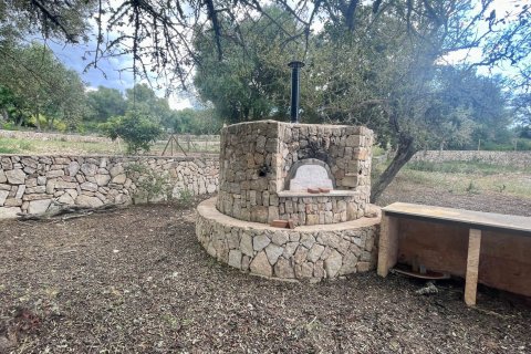 Finca for rent Porreres, Mallorca, Spain 6 bedrooms, 834 sq.m. No. 128213 - photo 6