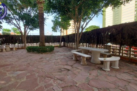 Apartament La Pobla de Farnals, Valencia, Hiszpania 3 sypialnie, 89 mkw. nr 132884 – zdjęcie 21
