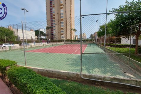 Apartament La Pobla de Farnals, Valencia, Hiszpania 3 sypialnie, 89 mkw. nr 132884 – zdjęcie 19