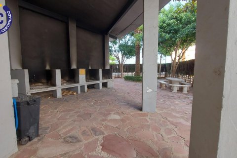 Apartament La Pobla de Farnals, Valencia, Hiszpania 3 sypialnie, 89 mkw. nr 132884 – zdjęcie 20