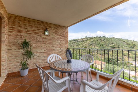 Villa à vendre Torres, Jaen, Espagne, 3 chambres, 174 m2 No. 122067 - photo 17