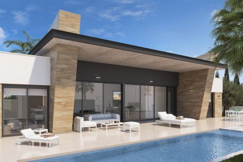 Продажа виллы в Сьюдад Кесада, Аликанте, Испания 3 спальни, 160м2 №123156 - фото 12