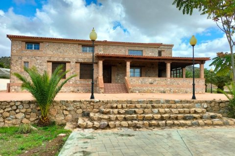 Villa for sale Aspe, Alicante, Spain 8 bedrooms, 465 sq.m. No. 127017 - photo 1