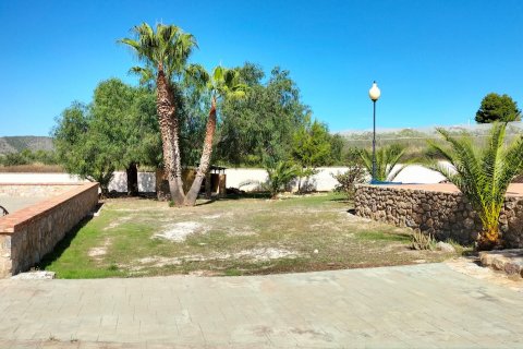 Villa for sale Aspe, Alicante, Spain 8 bedrooms, 465 sq.m. No. 127017 - photo 4