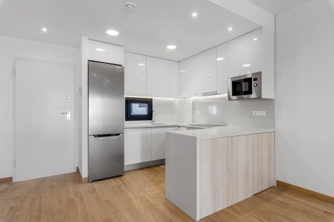 Продажа квартиры Лос Балконес, Аликанте, Испания 2 спальни, 131м2 №125895 - фото 14