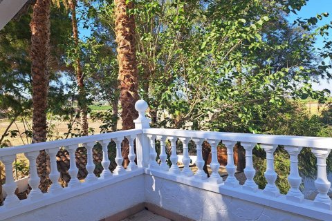 Villa for sale Orihuela, Alicante, Spain 5 bedrooms, 250 sq.m. No. 122556 - photo 5