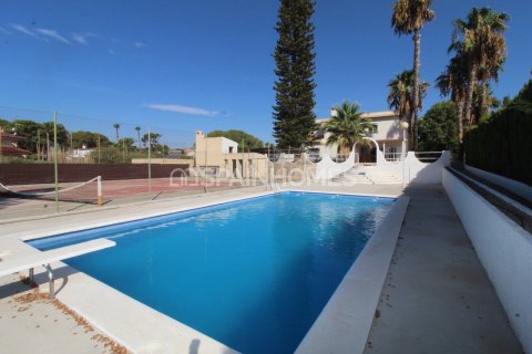 Villa for sale Elche, Alicante, Spain 6 bedrooms, 203 sq.m. No. 132794 - photo 6