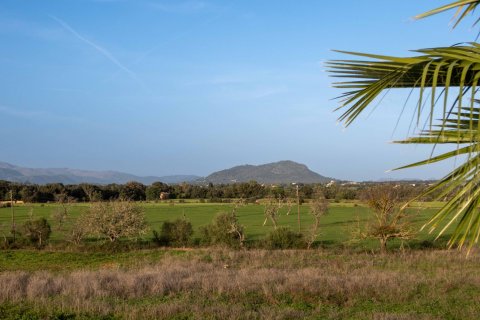 Finca zum Verkauf in Sencelles, Mallorca, Spanien 5 Schlafzimmer, 492 m2 Nr. 129704 - Foto 18