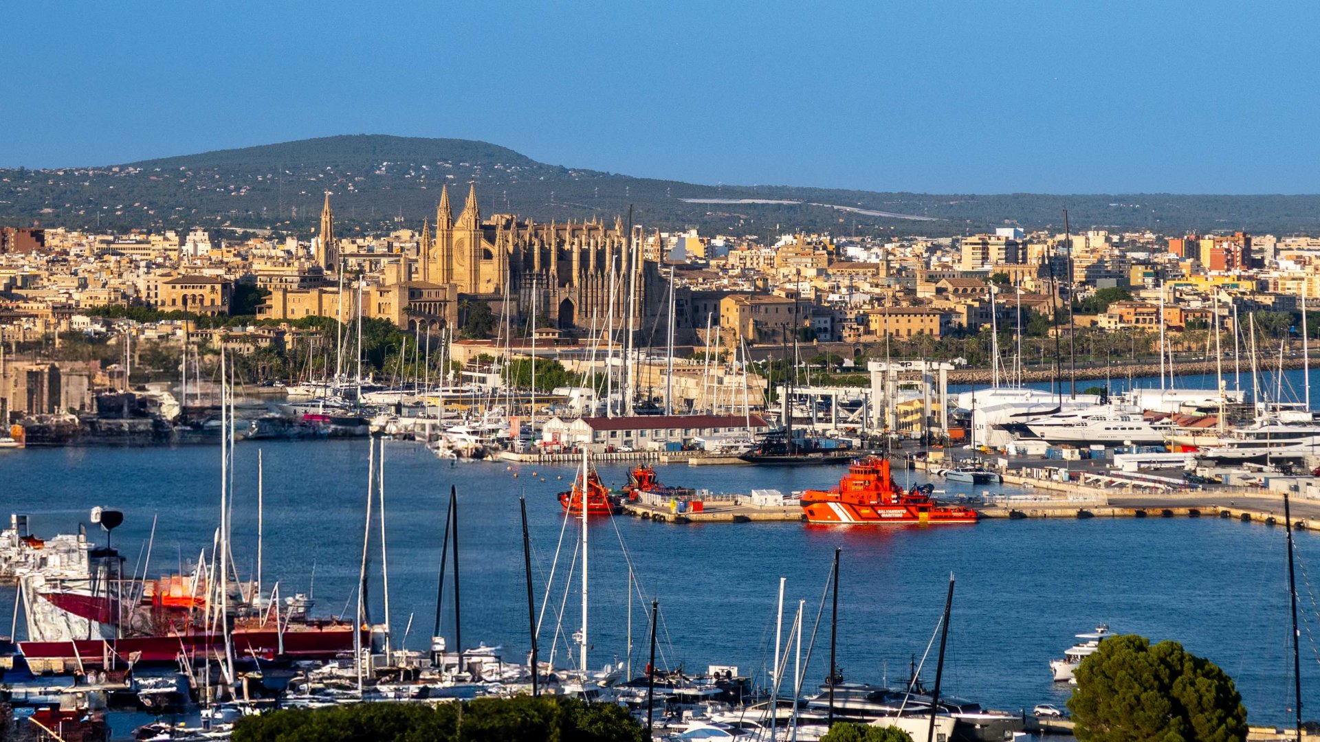 Huvila Palma de Majorca, Mallorca, Espanja 5 makuuhuonetta, 613 m2 No. 129705