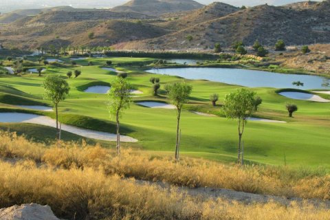 Dzīvoklis pārdošanā Monforte del Cid, Alicante, Spānijā 3 istabas, 135 m2 Nr. 122617 - attēls 10