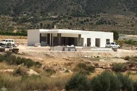 Villa in vendita Pinoso, Alicante, Spagna 3 camere da letto, 170 mq. N° 131541 - foto 2