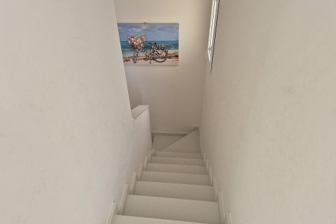 Duplex for sale Torrevieja, Alicante, Spain 3 bedrooms, 110 sq.m. No. 128650 - photo 22
