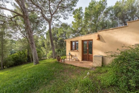 Villa à vendre Port D'andratx, Mallorca, Espagne, 6 chambres, 346 m2 No. 128297 - photo 17