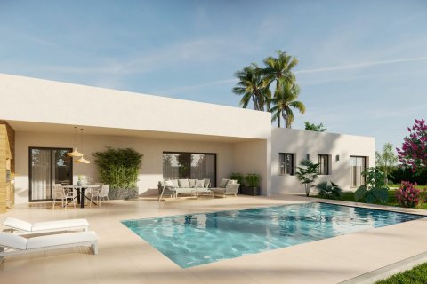 Villa till salu Aspe, Alicante, Spanien 3 sovrum, 164 kvm. Nr. 128413 - foto 8