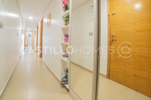Huoneisto myytävänä Torrevieja, Alicante, Espanja, 3 makuuhuonetta, 91 m2 No. 131951 - kuva 27