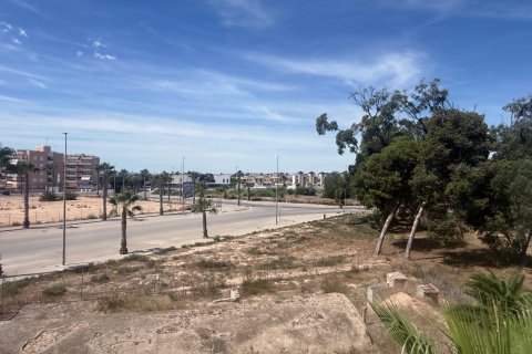 Bungalow w Guardamar del Segura, Alicante, Hiszpania 2 sypialnie, 150 mkw. nr 131498 – zdjęcie 26