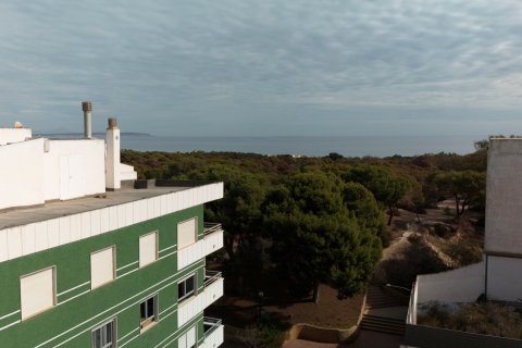 Apartment for sale Guardamar del Segura, Alicante, Spain 1 bedroom, 53 sq.m. No. 127645 - photo 9