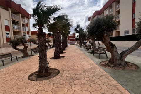 Продажа бунгало в Аликанте, Испания 2 спальни, 71м2 №123559 - фото 7