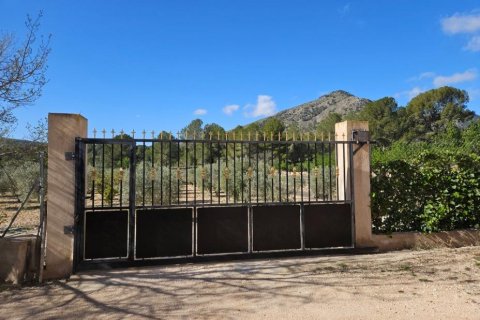 Villa en venta Monóvar, Alicante, España 5 dormitorios, 62 m2 No. 124912 - foto 10