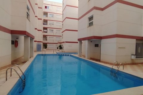 Apartment à vendre Torrevieja, Alicante, Espagne, 2 chambres,  No. 124913 - photo 28