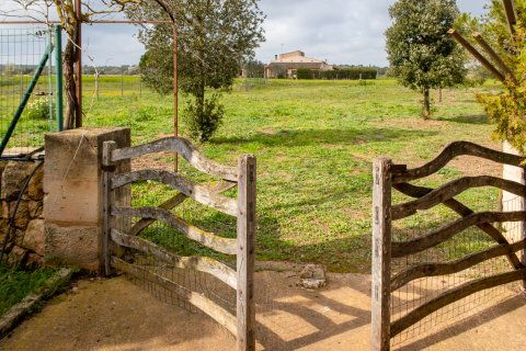 Finca for rent Campos, Mallorca, Spain 6 bedrooms, 668 sq.m. No. 130938 - photo 25