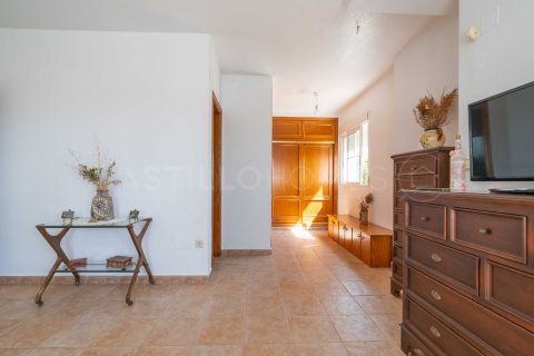 Villa for sale Torrevieja, Alicante, Spain 6 bedrooms, 259 sq.m. No. 125115 - photo 28