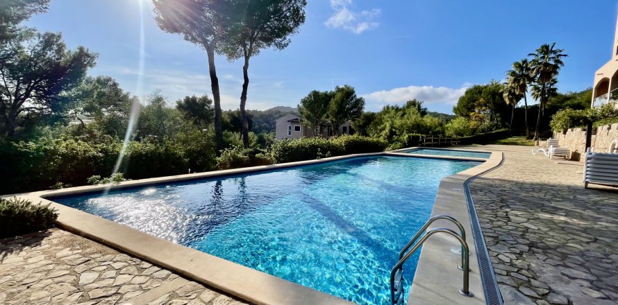 Apartment in Peguera, Mallorca, Spain 3 bedrooms, 104 sq.m. No. 130967