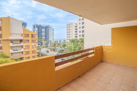 Apartment à vendre Punta Prima, Alicante, Espagne, 3 chambres, 111 m2 No. 125651 - photo 16