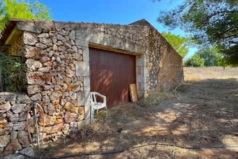 Land plot à vendre Porto Cristo, Mallorca, Espagne, 21476 m2 No. 129601 - photo 4