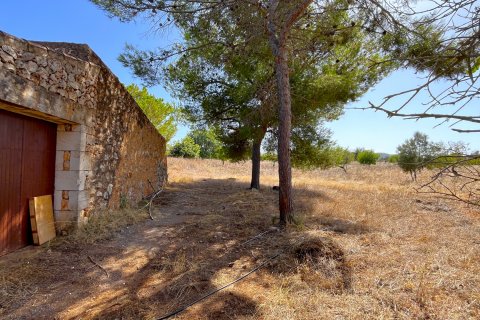 Land plot à vendre Porto Cristo, Mallorca, Espagne, 21476 m2 No. 129601 - photo 3